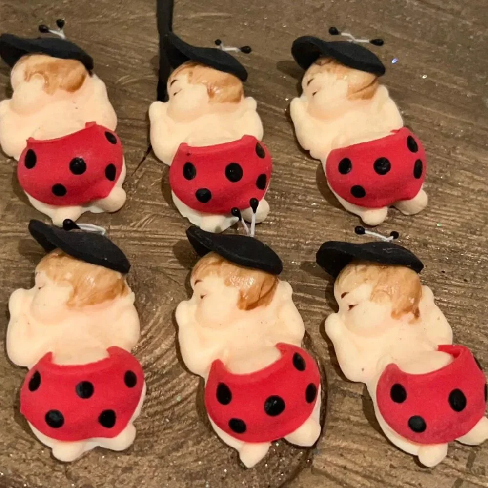 Ladybug Babies Party Favor Decoration Baby Shower Accents 6 Count